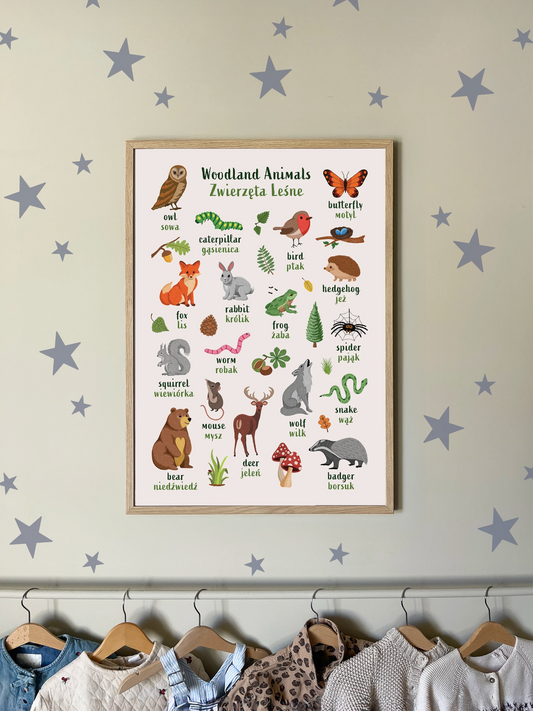 Learn English & Polish with Woodland Animals Poster