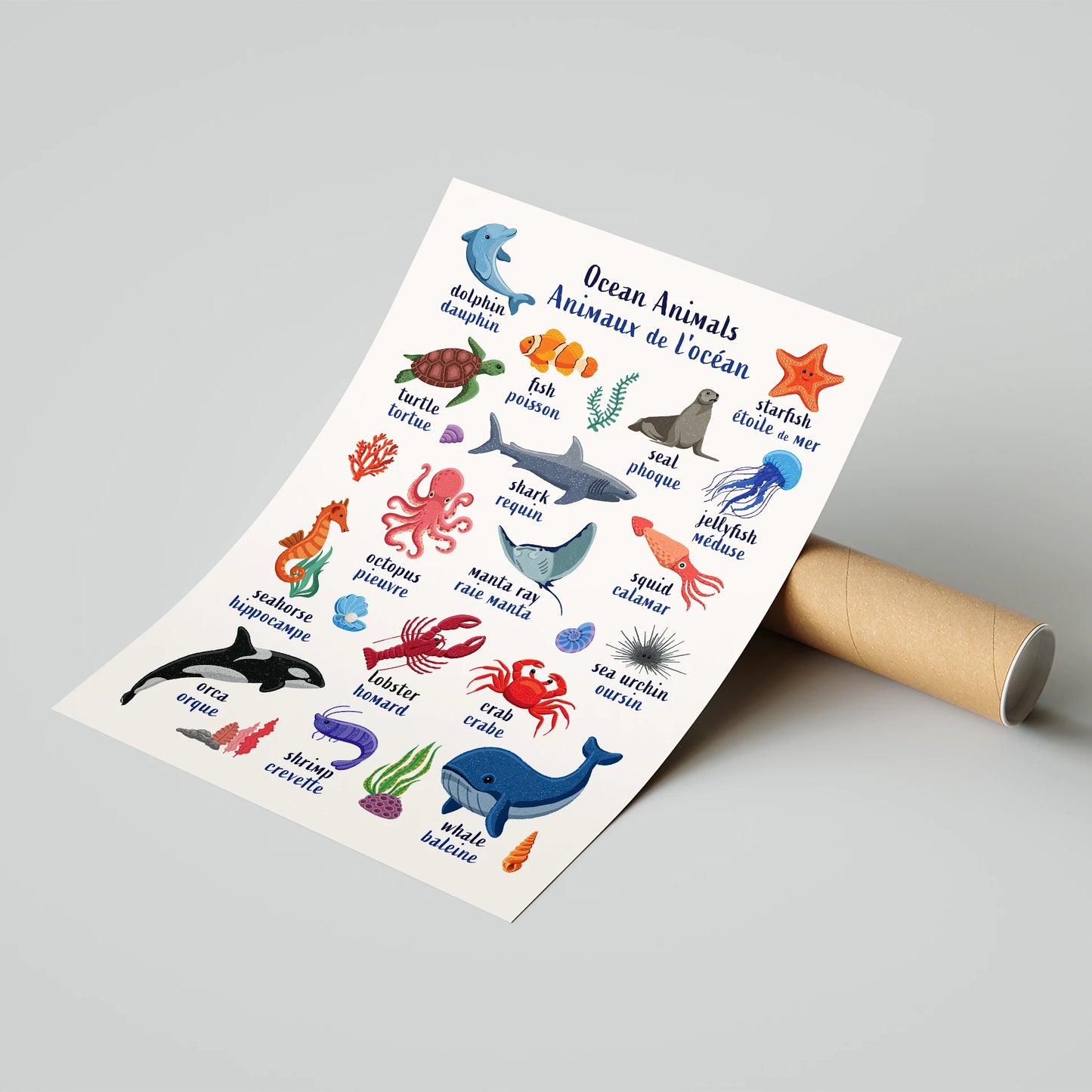 Learn English & French with Ocean Animals Poster