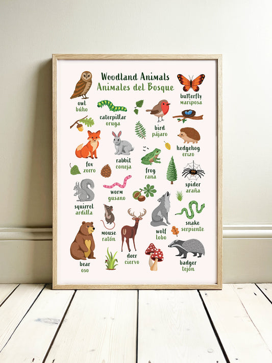 Learn English & Spanish with Woodland Animals Poster