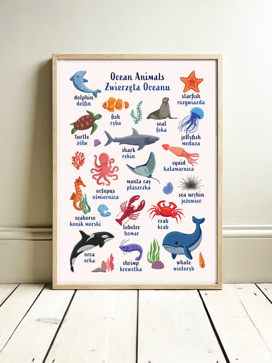 Learn English & Polish with Ocean Animals Poster