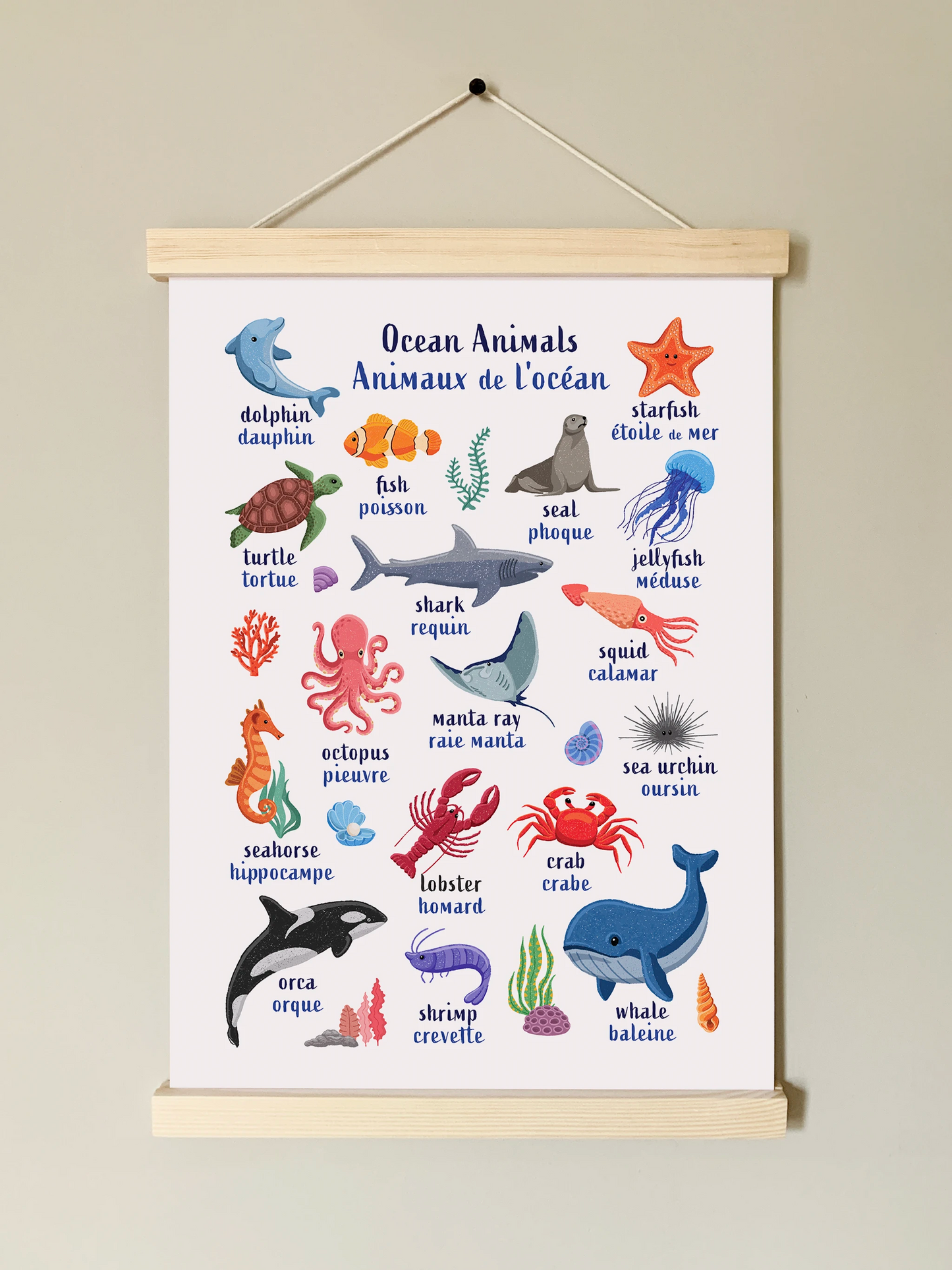 Learn English & French with Ocean Animals Poster