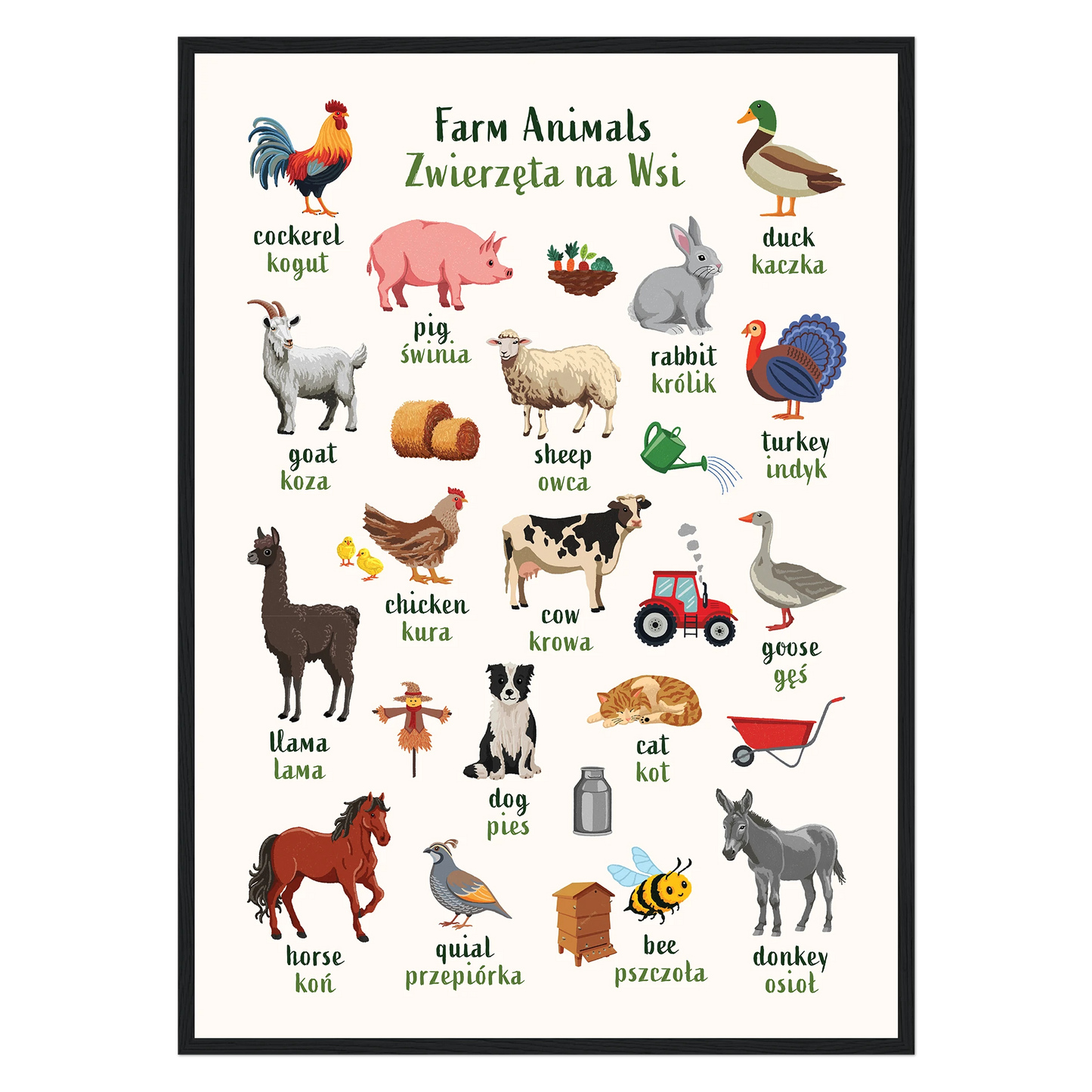 Póster para aprender inglés y francés con animales del océano