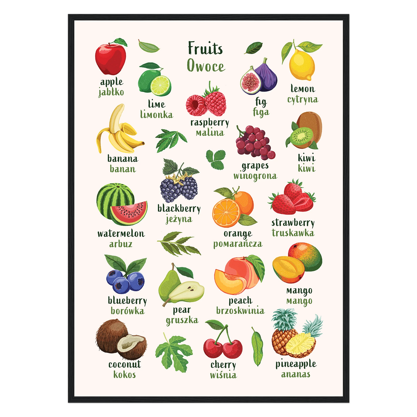 Learn English & Polish with Fruit Bilingual Poster