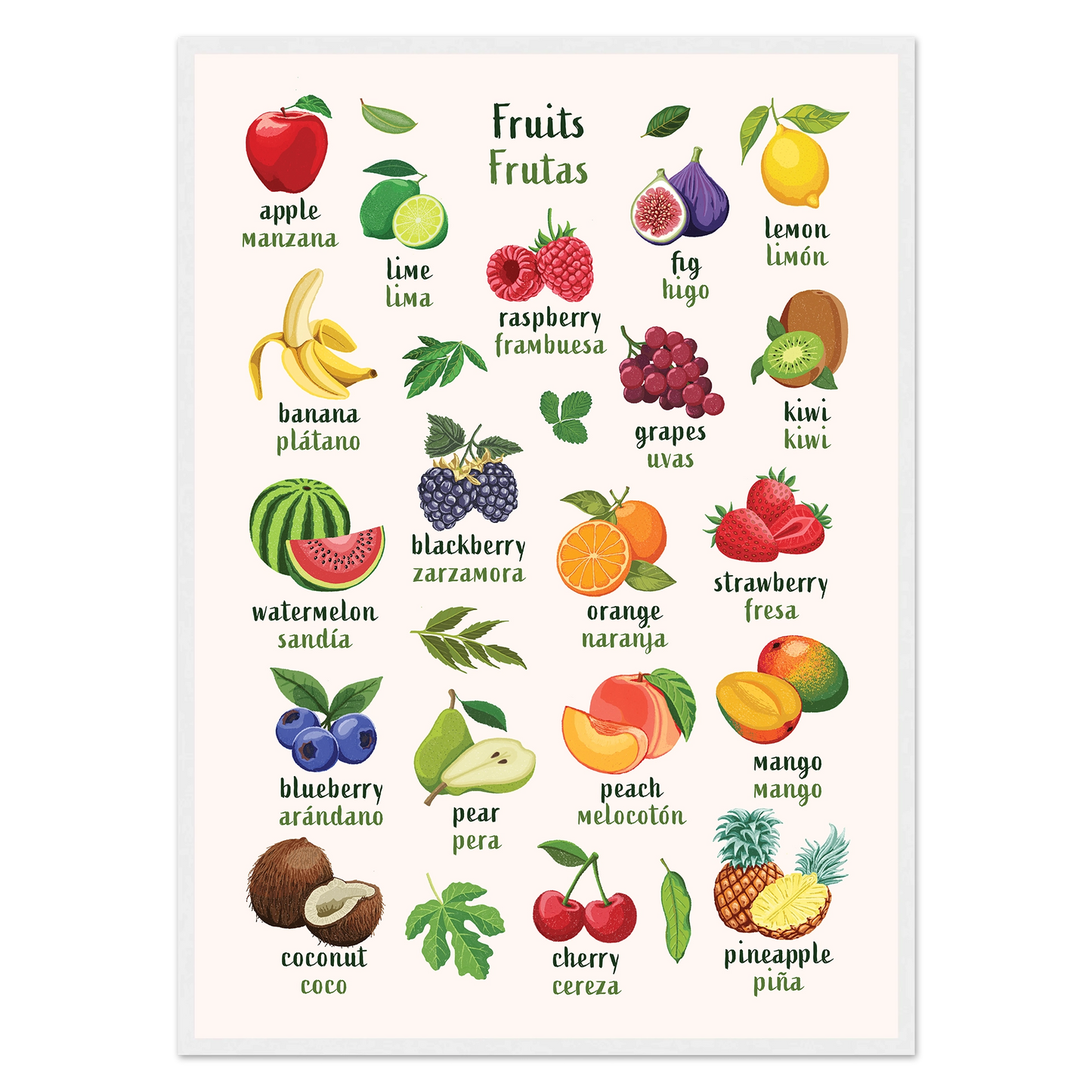 Learn English & Spanish with Fruit Bilingual Poster