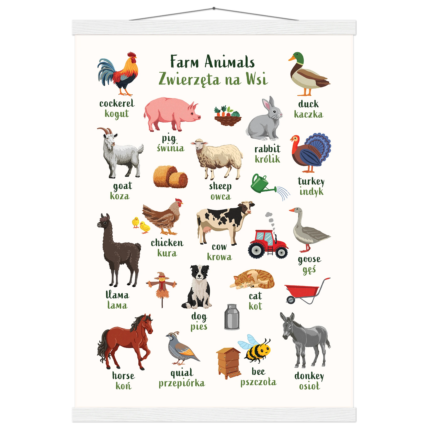 Póster para aprender inglés y francés con animales del océano
