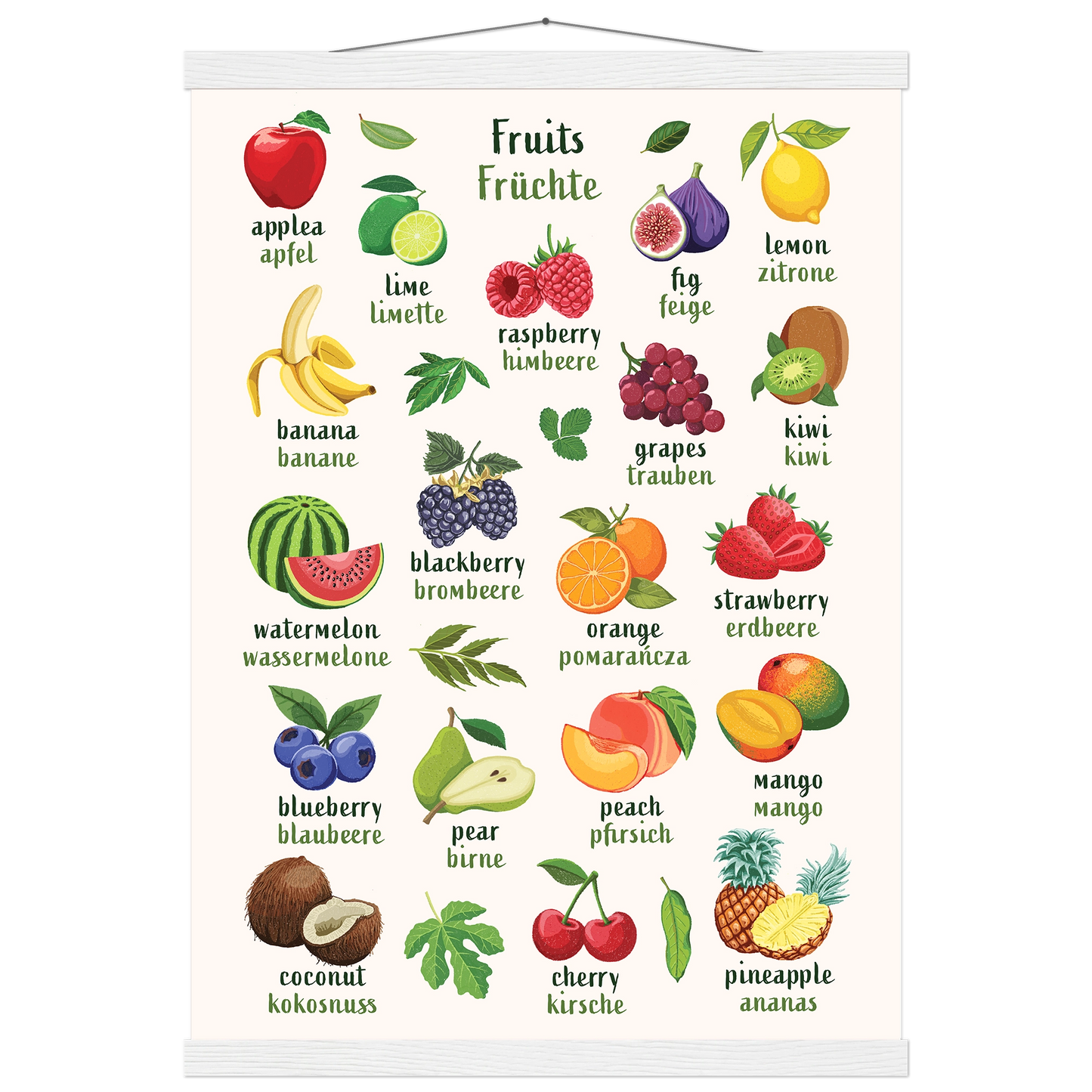 Learn English & German with Fruit Bilingual Poster