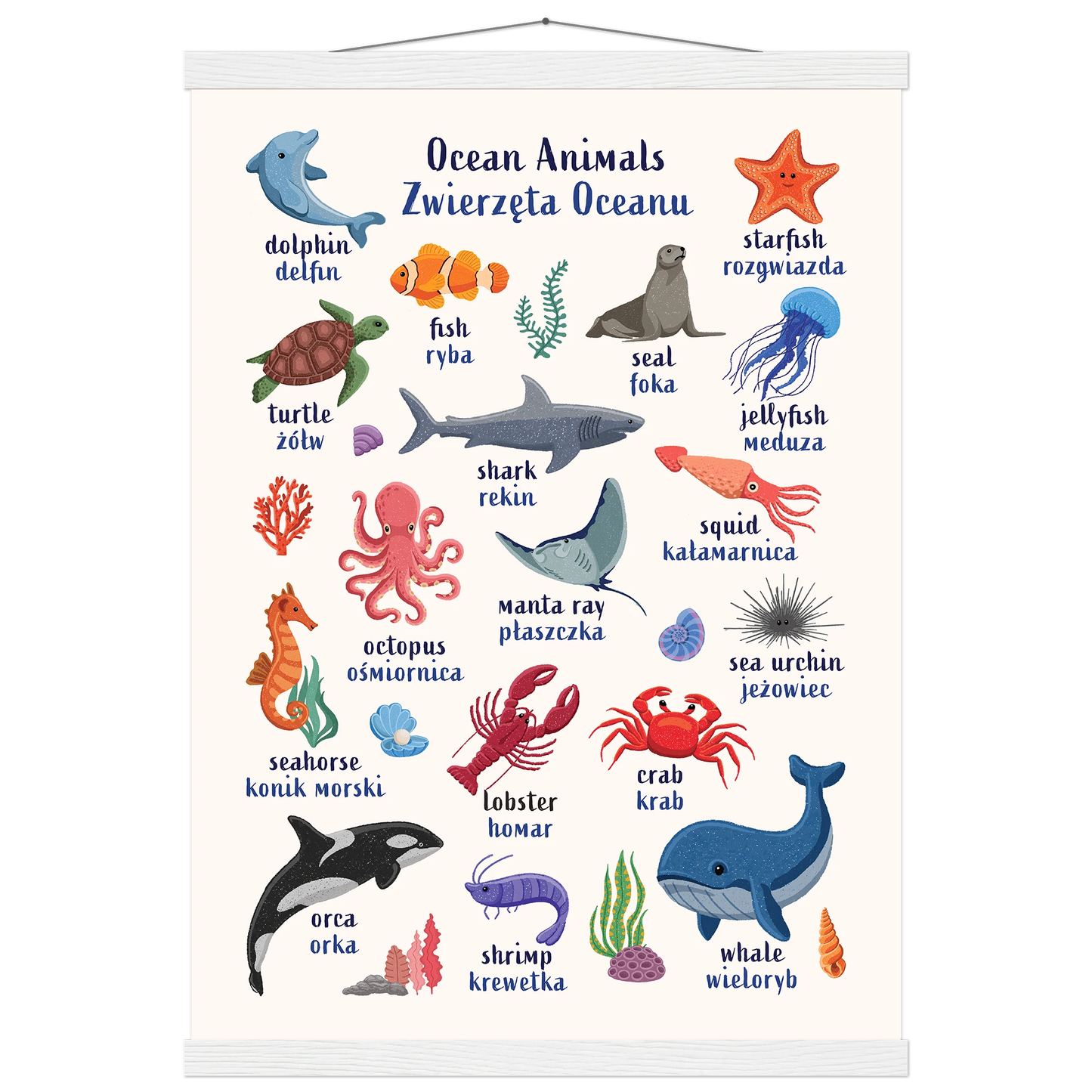 Learn English & Polish with Ocean Animals Poster
