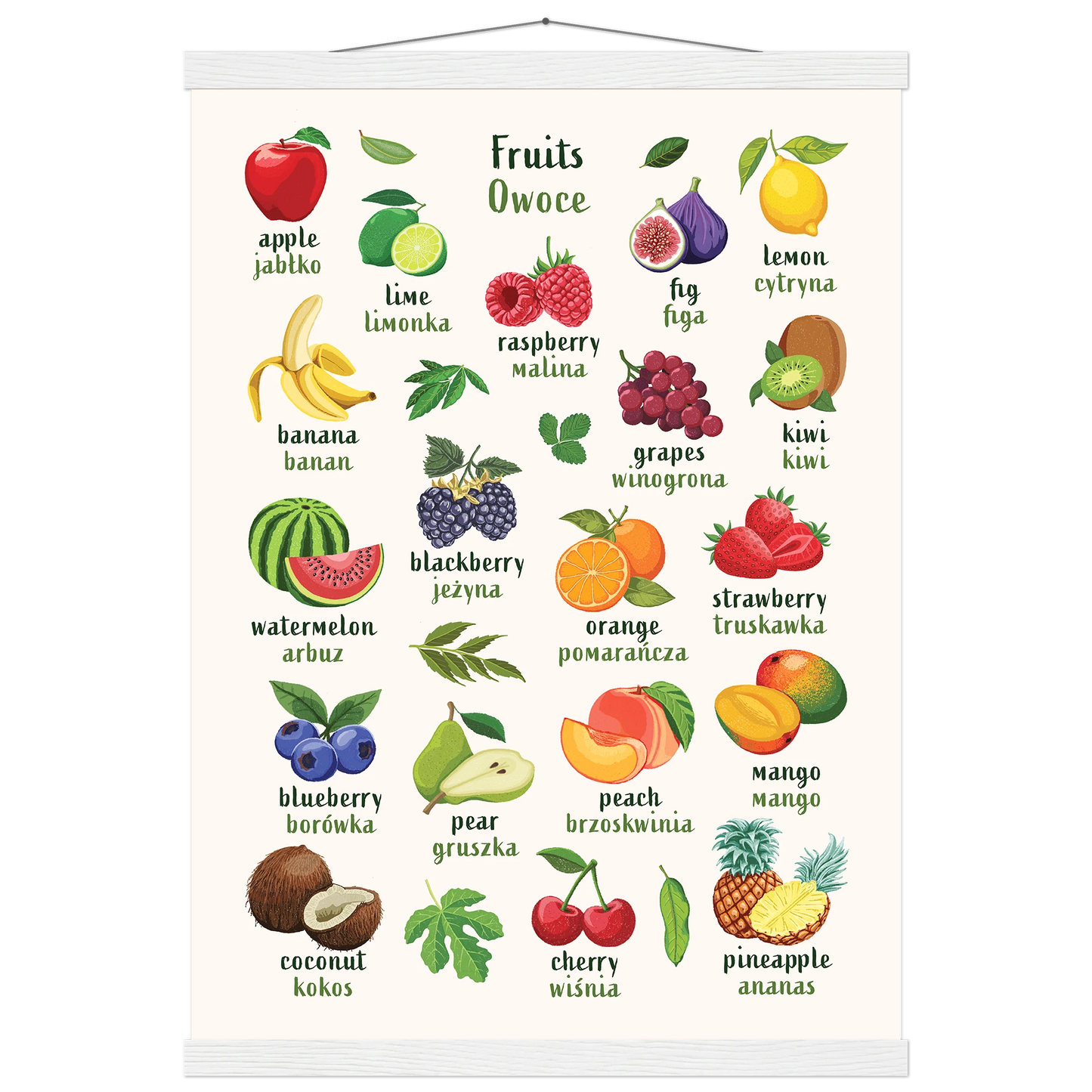 Learn English & Polish with Fruit Bilingual Poster