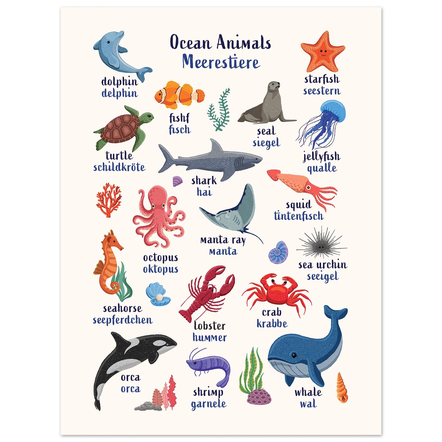Learn English & German with Ocean Animals Poster