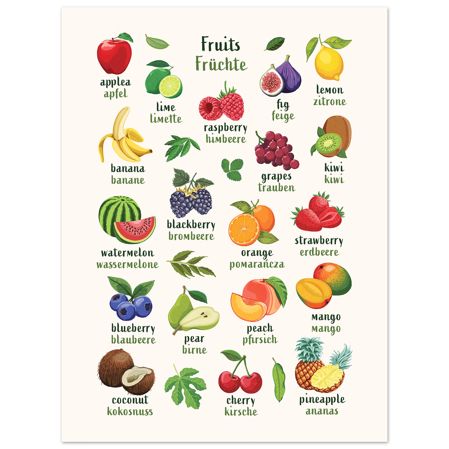 Learn English & German with Fruit Bilingual Poster