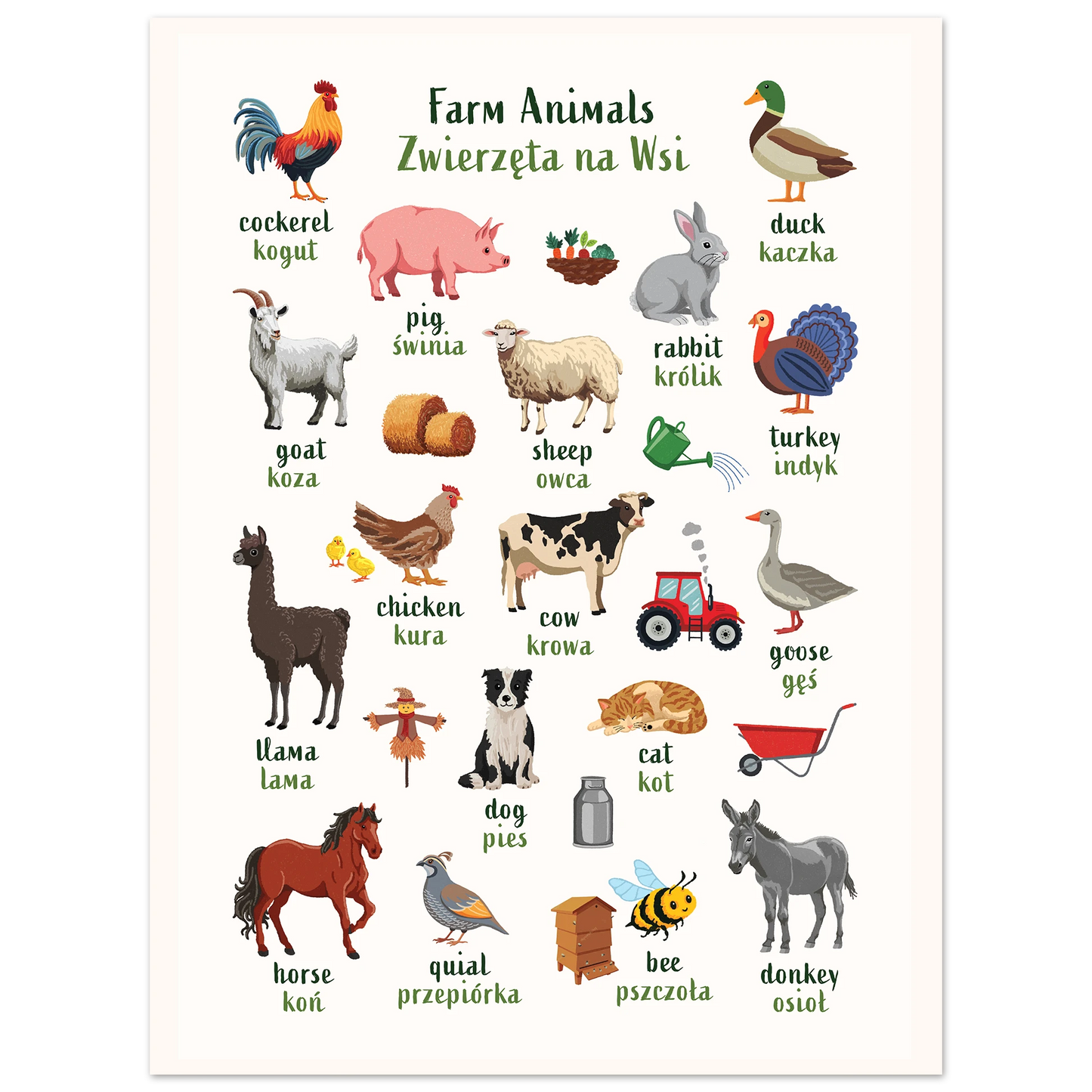 Póster para aprender inglés y francés con animales del océano