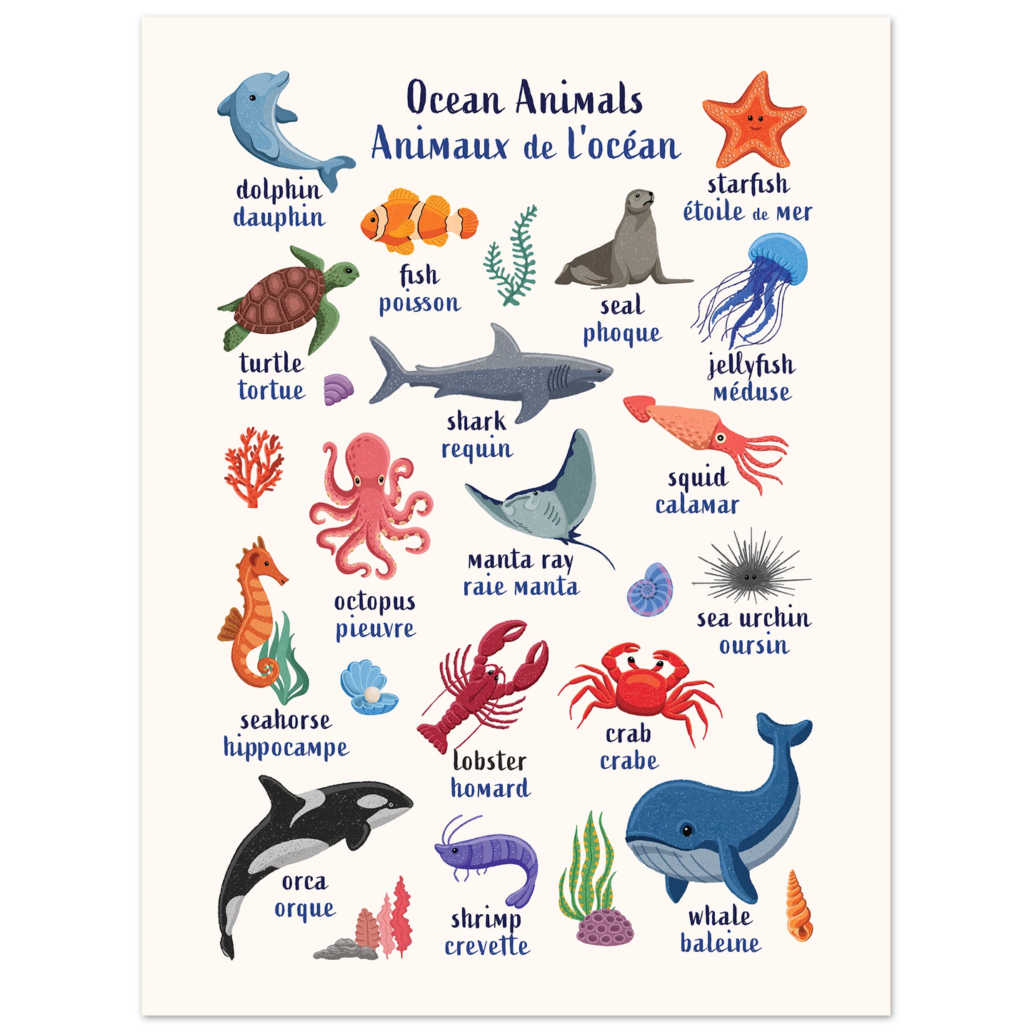 Learn English & French with Ocean Animals Poster